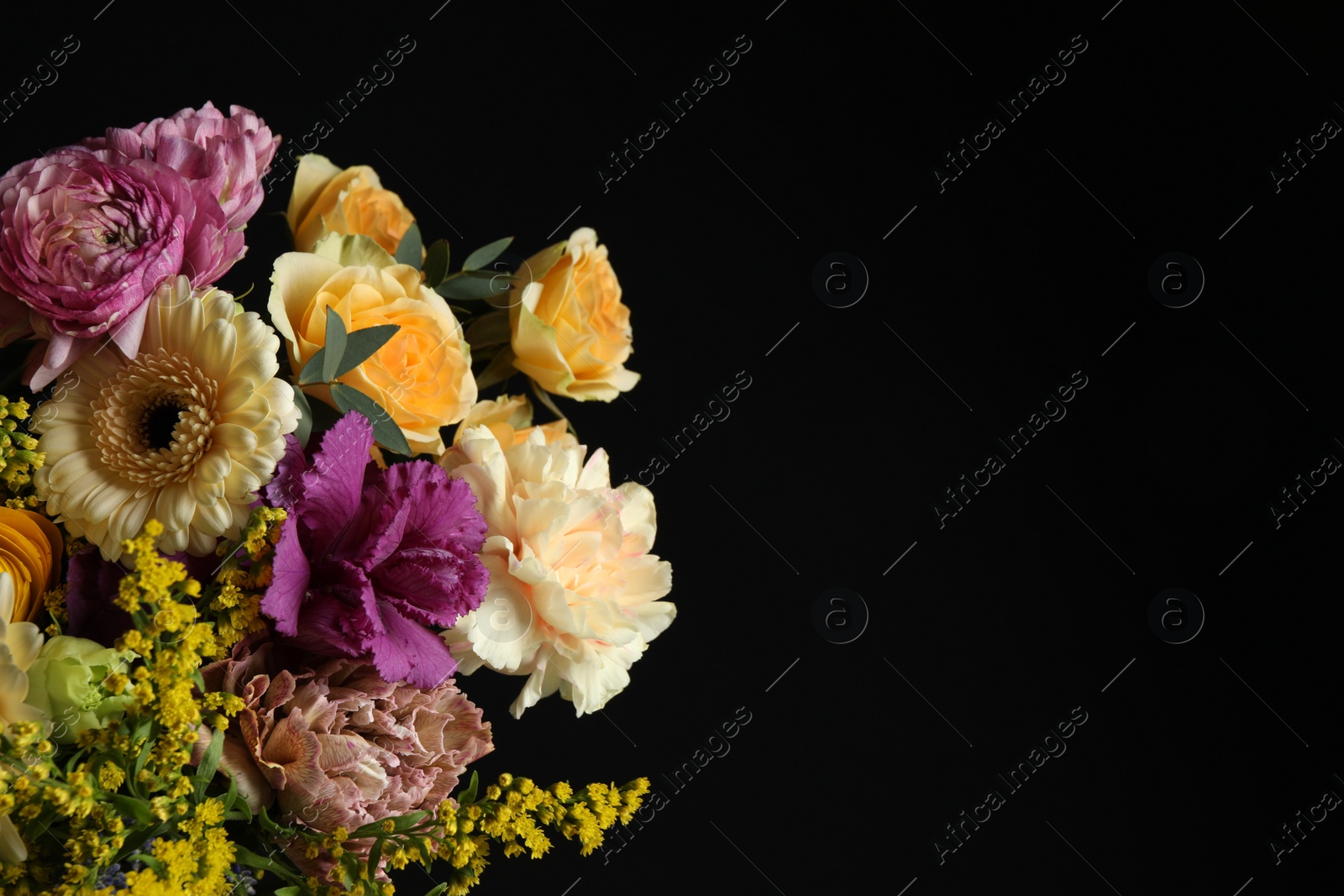 Photo of Beautiful fresh flowers on dark background, space for text