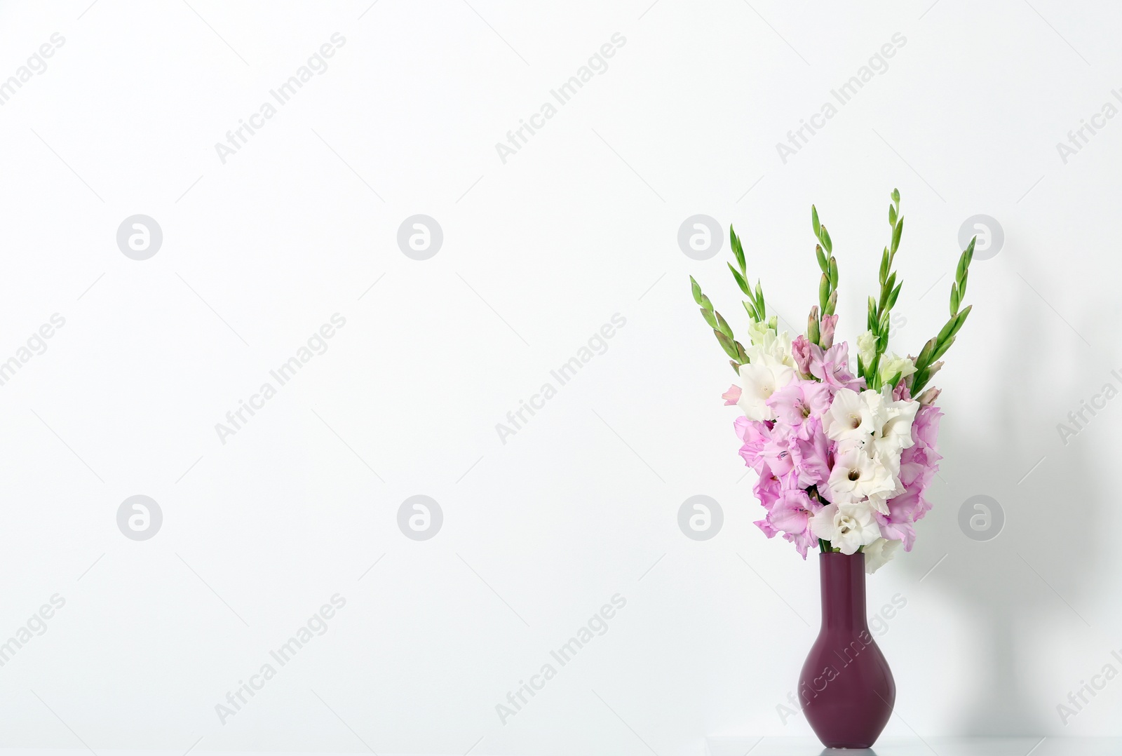 Photo of Vase with beautiful gladiolus flowers on white background