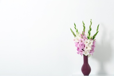 Vase with beautiful gladiolus flowers on white background