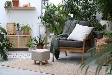 Comfortable armchair and beautiful houseplants in room. Lounge area interior