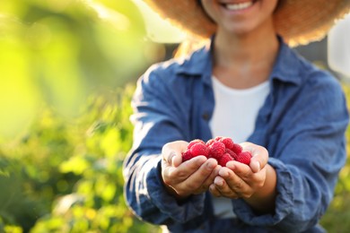 Photo of Woman holding ripe raspberries outdoors, closeup. Space for text