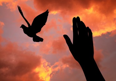 Image of Freedom. Woman showing her hand and bird against cloudy sky at sunset, closeup