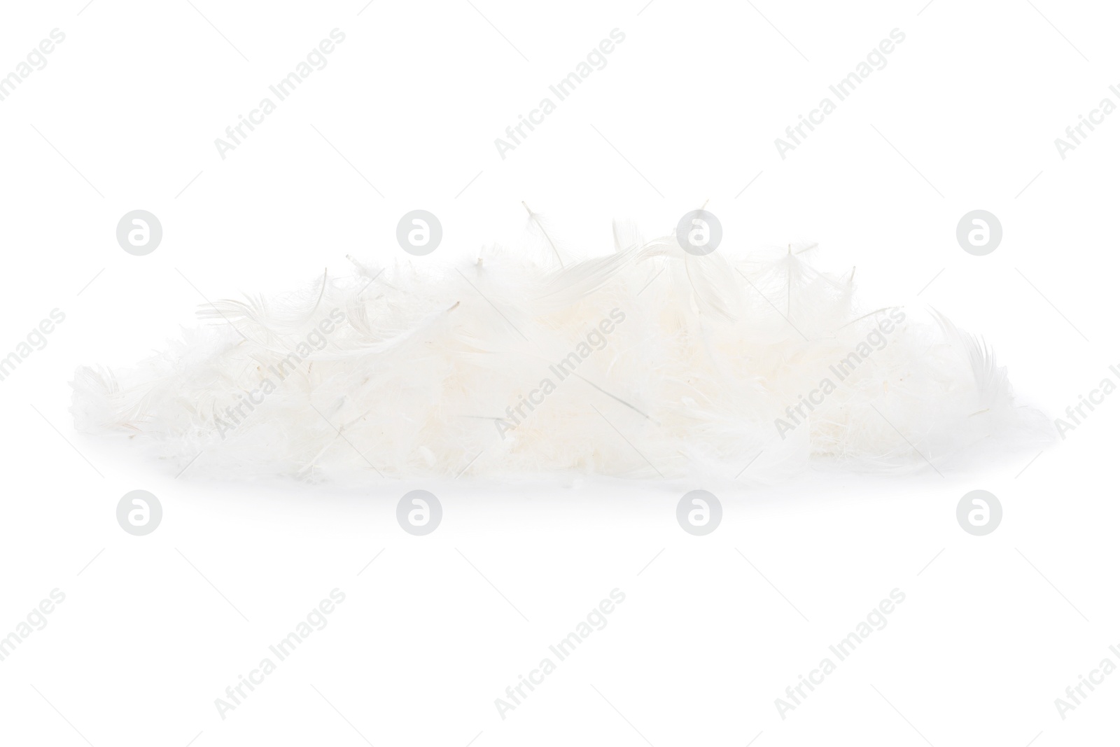 Photo of Pile of beautiful bird feathers isolated on white