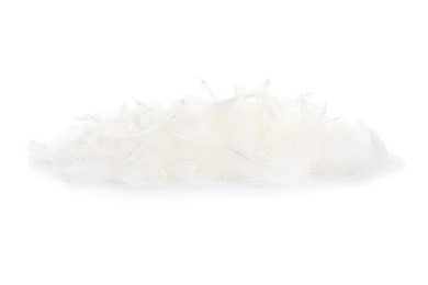 Photo of Pile of beautiful bird feathers isolated on white