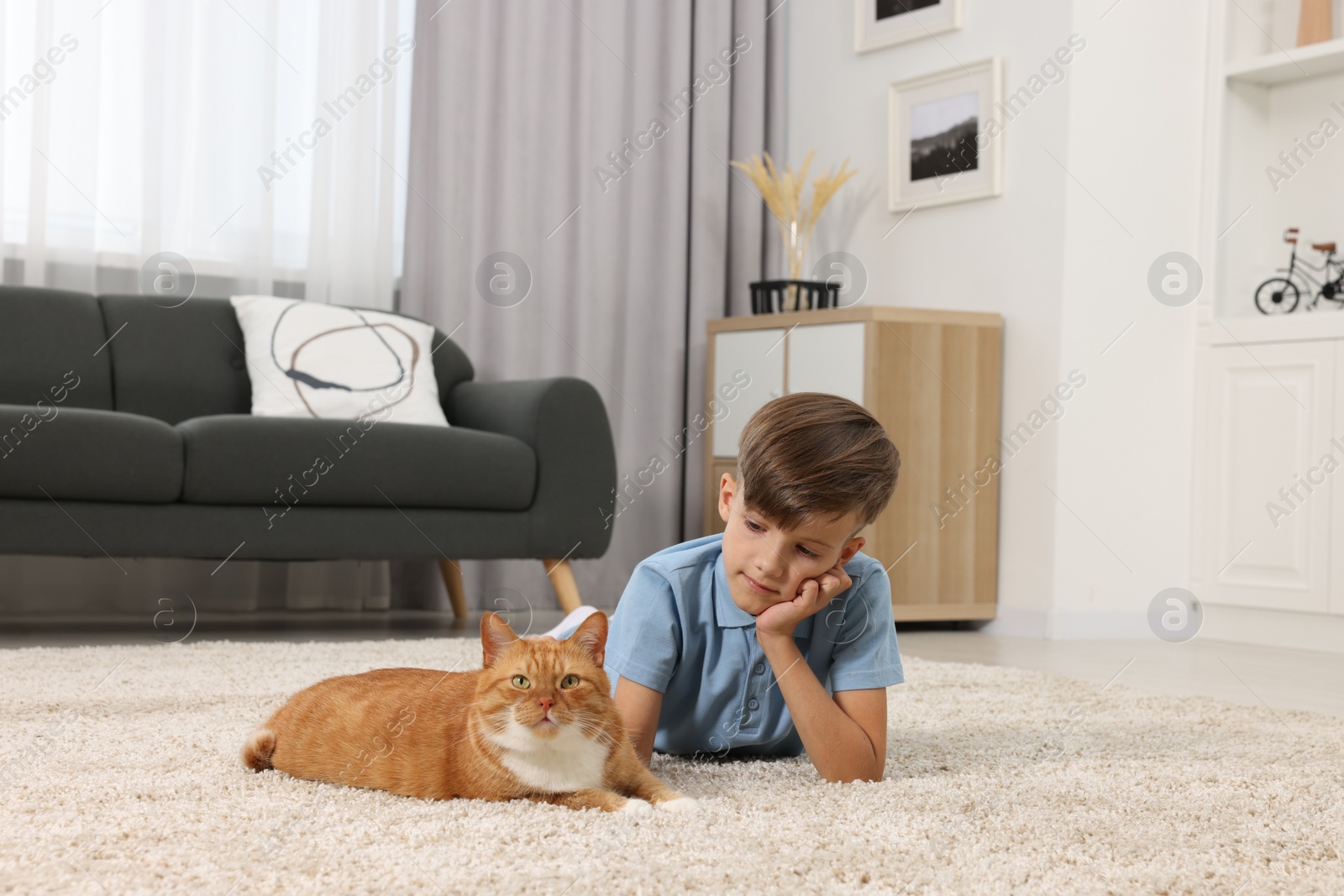 Photo of Little boy petting cute ginger cat on soft carpet at home