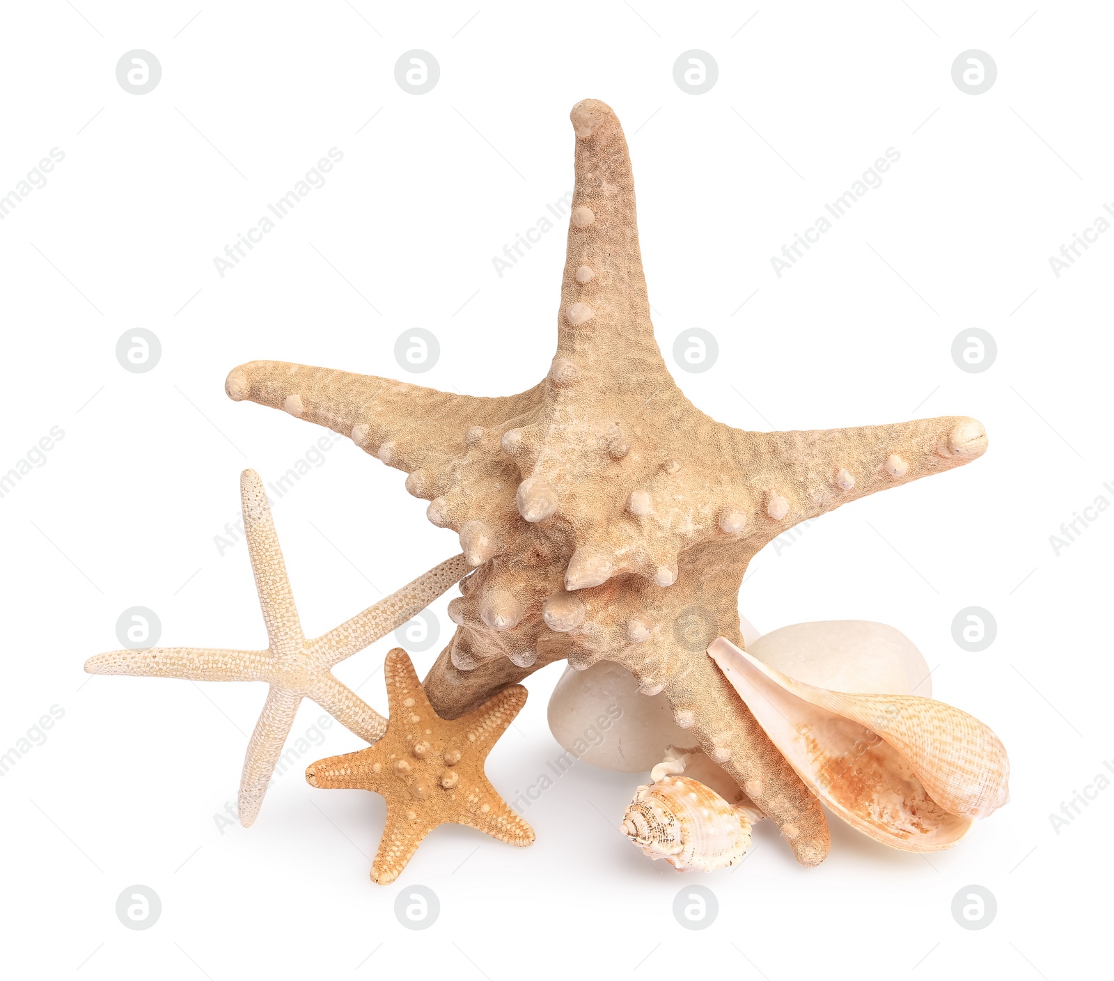 Photo of Beautiful sea stars, stone and seashells isolated on white