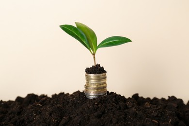 Stack of coins and green plant on soil against beige background. Profit concept