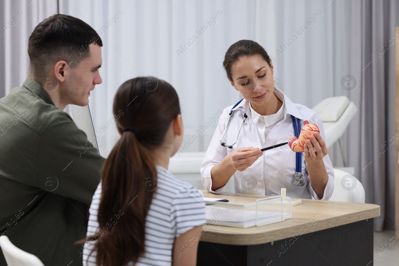 Photo of Gastroenterologist with model of stomach consulting man and his daughter in clinic