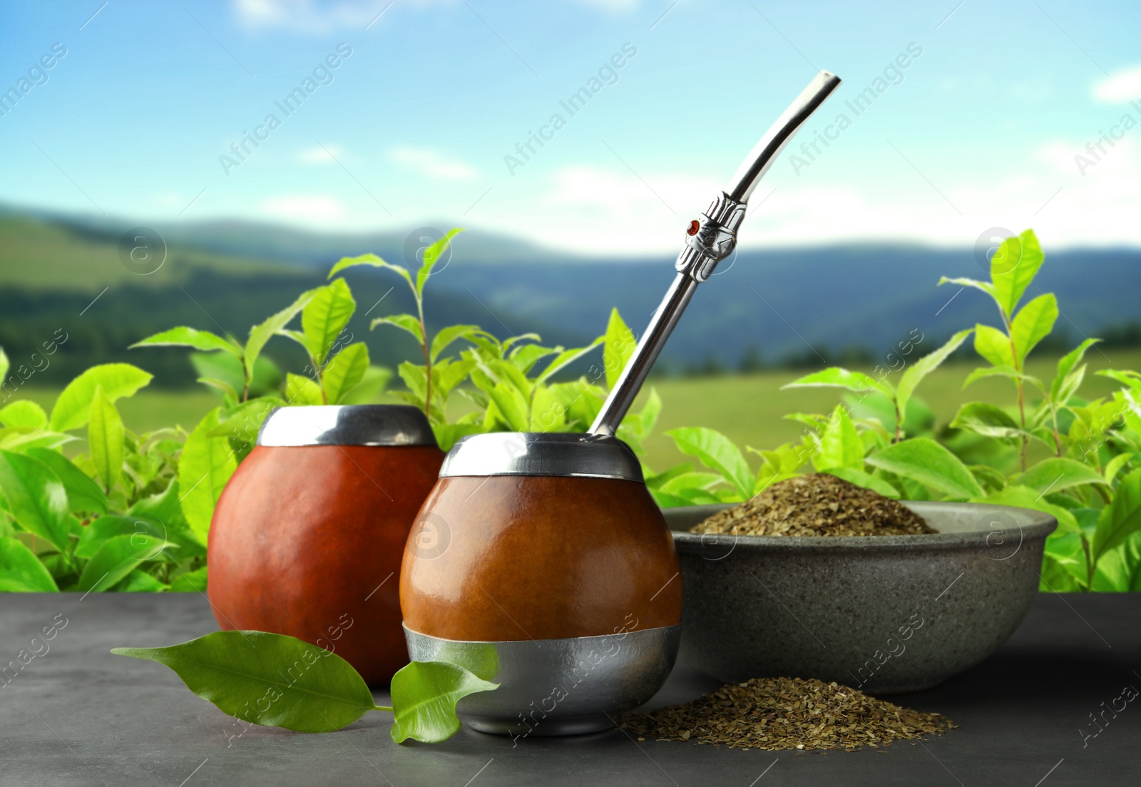 Image of Calabashes with mate tea and bombilla on light grey table outdoors