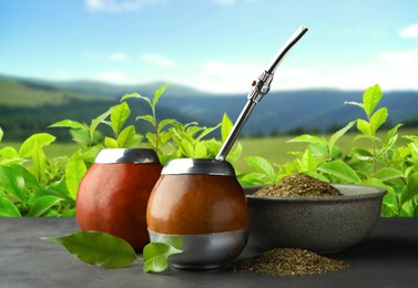 Image of Calabashes with mate tea and bombilla on light grey table outdoors