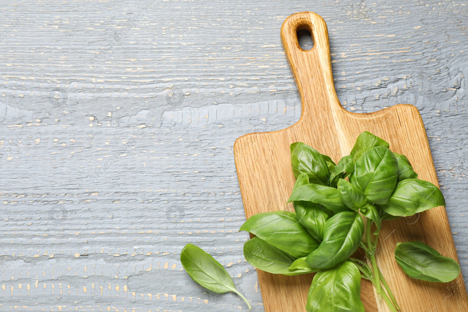 Photo of Fresh green basil on light grey wooden table, above view. Space for text
