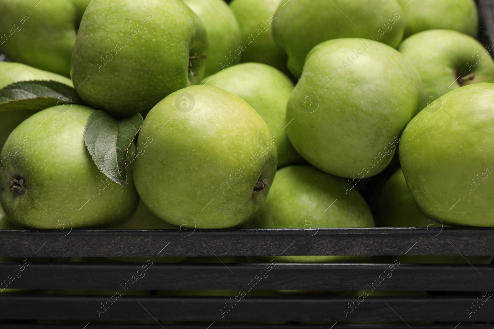 Photo of Fresh green apples in black crate, closeup