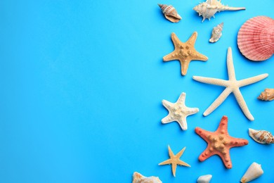 Photo of Many starfishes and shells on blue background, flat lay. Space for text