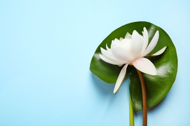 Photo of Beautiful white lotus flower with green leaf on light blue background, top view. Space for text