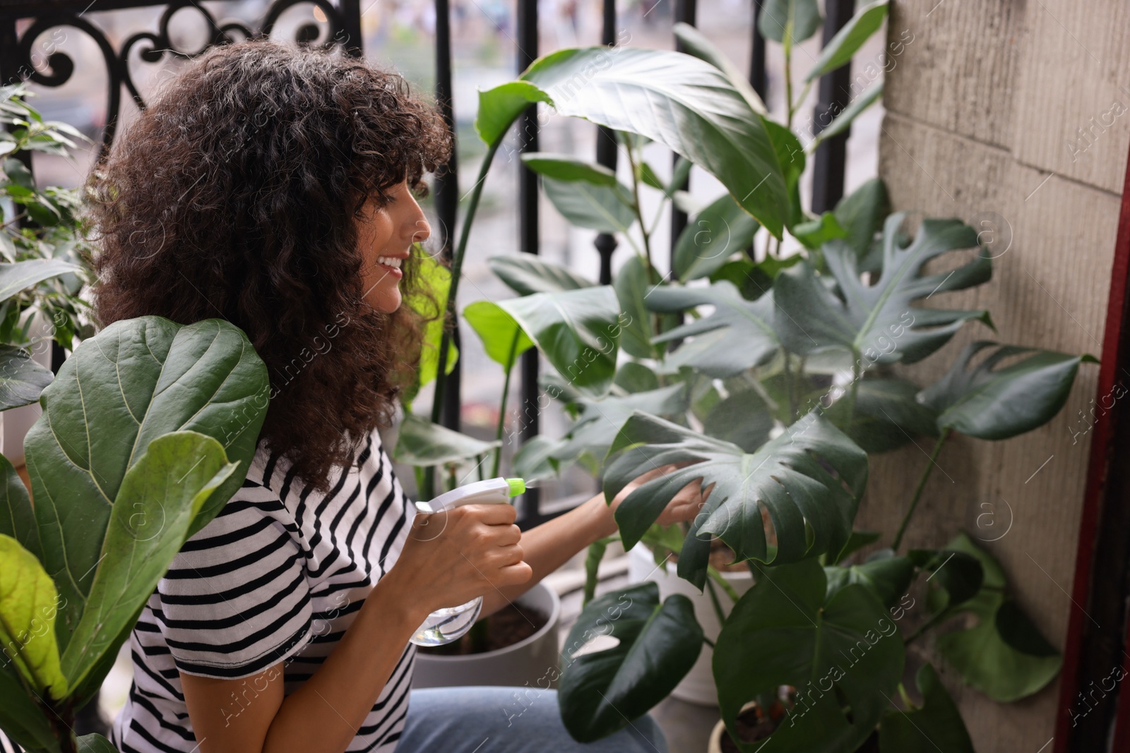 Photo of Beautiful young woman spraying potted monstera with water on balcony