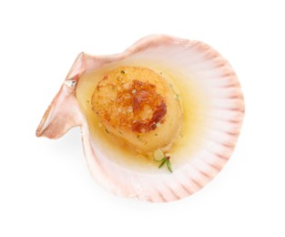 Delicious fried scallop in shell isolated on white, top view