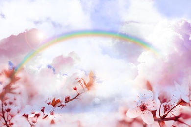Fantasy world. Beautiful rainbow in sky with fluffy clouds over blossoming cherry tree 