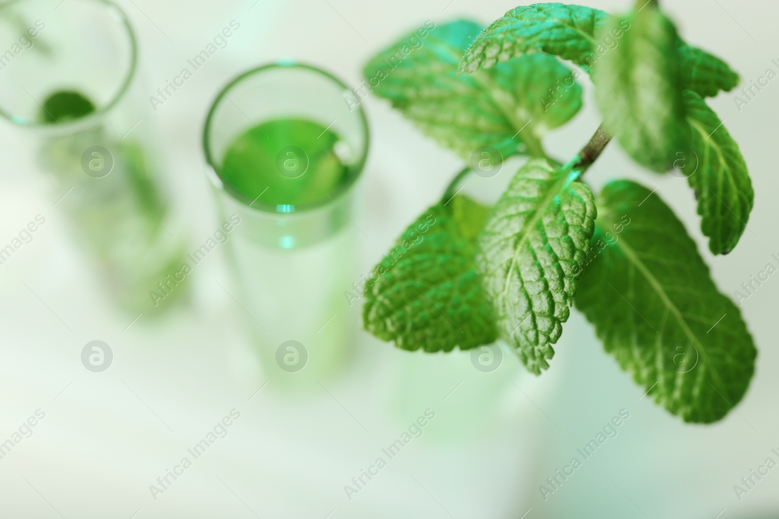 Photo of Green plant on blurred background, closeup with space for text. Biological chemistry