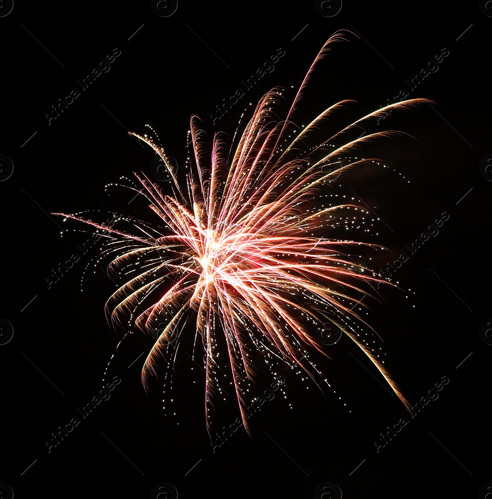 Photo of Beautiful bright firework lighting up night sky