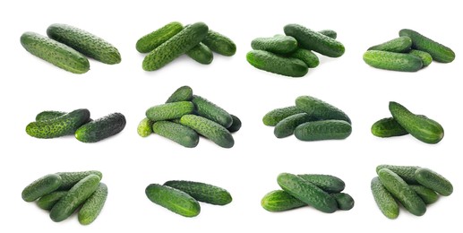 Image of Set with whole ripe cucumbers on white background. Banner design