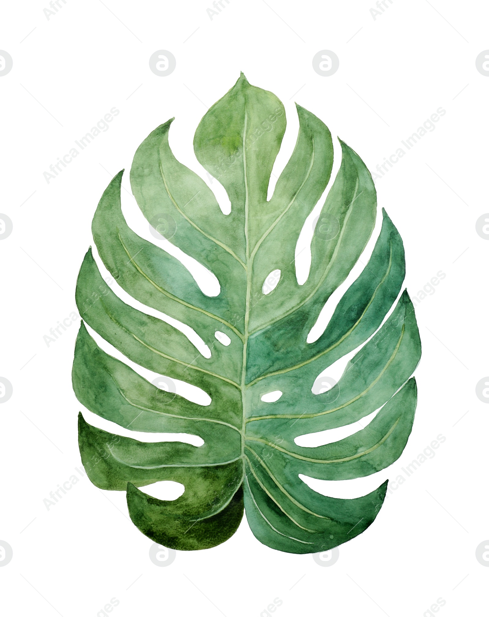 Photo of Beautiful watercolor tropical leaf painted on white paper, top view