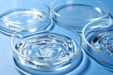 Photo of Petri dishes with liquids on blue background, closeup