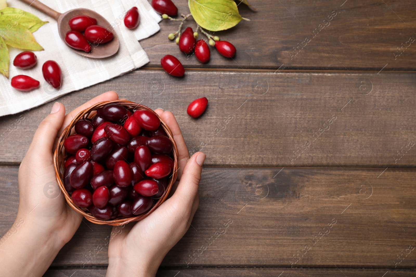 Photo of Woman with bowl of fresh ripe dogwood berries at wooden table, top view. Space for text