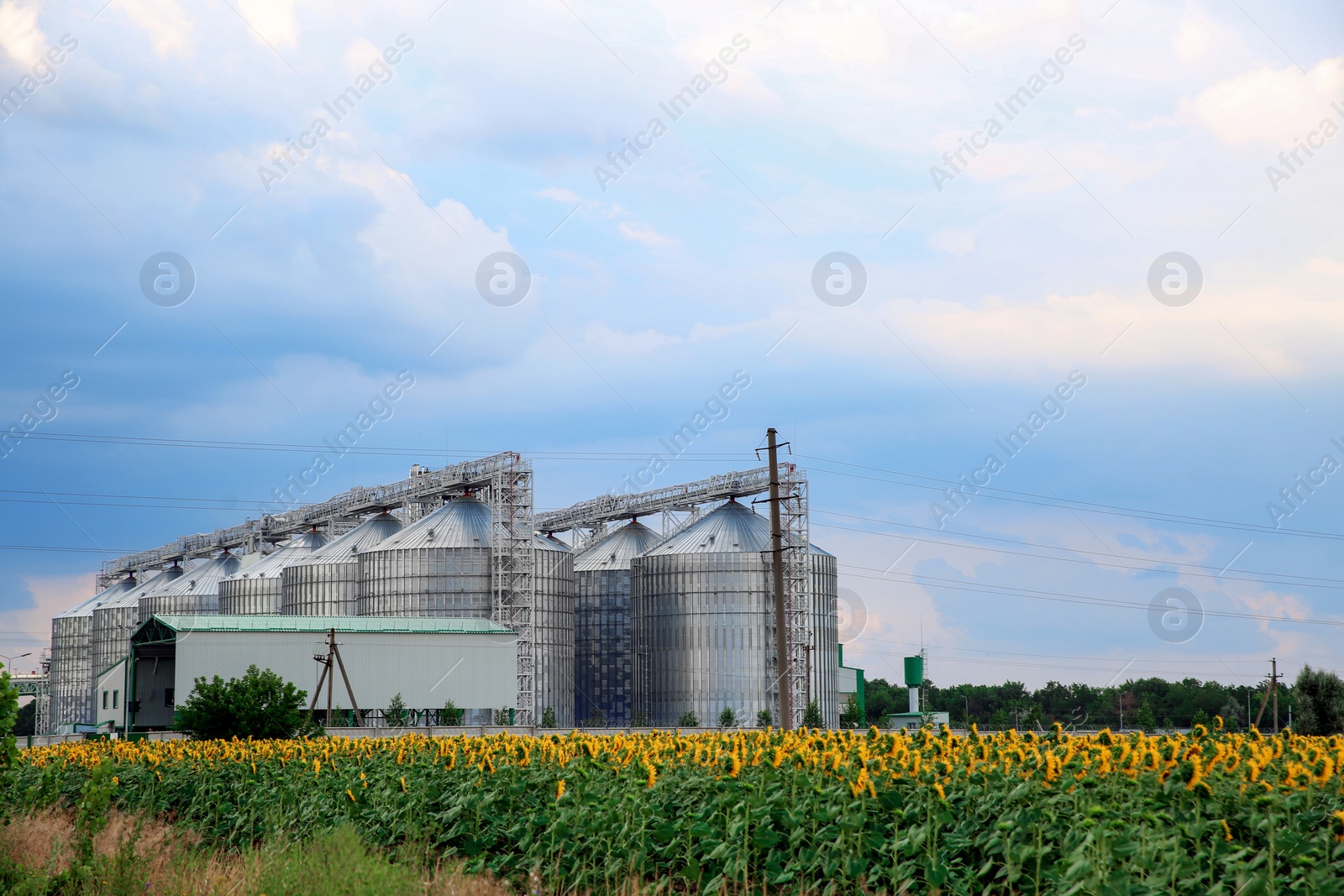 Photo of Row of modern granaries for storing cereal grains in field