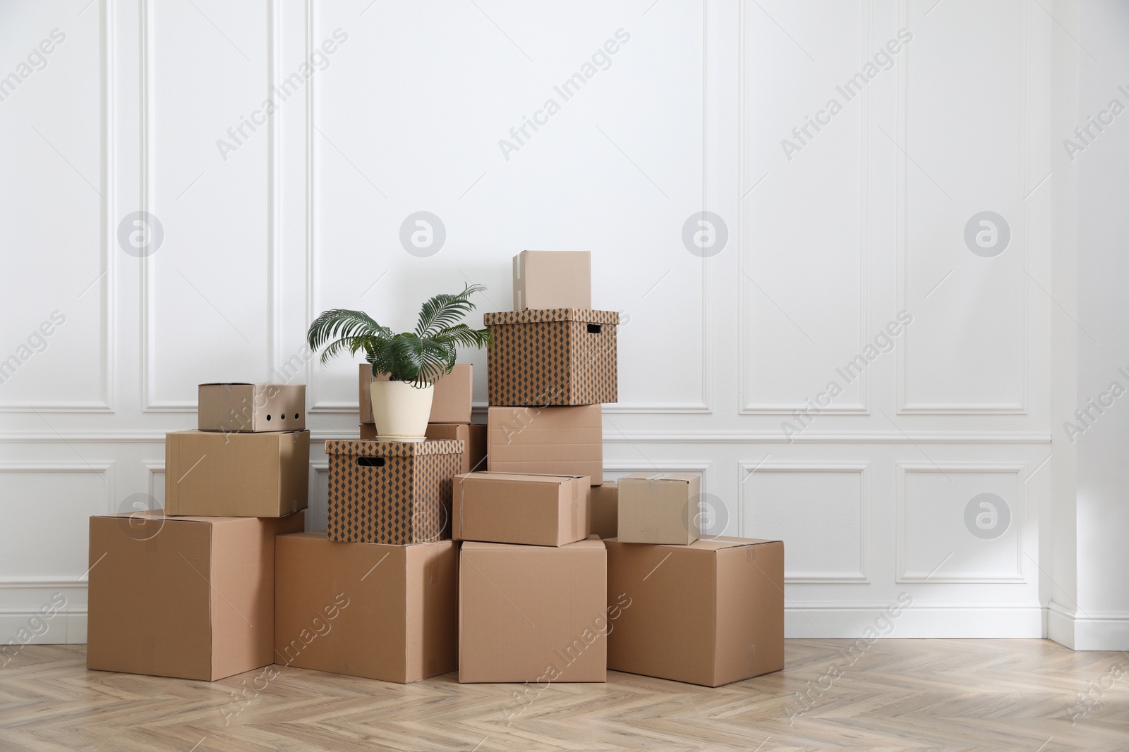 Photo of Heap of cardboard boxes and houseplant near white wall indoors, space for text. Moving day