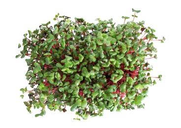 Photo of Fresh organic microgreen on white background, top view