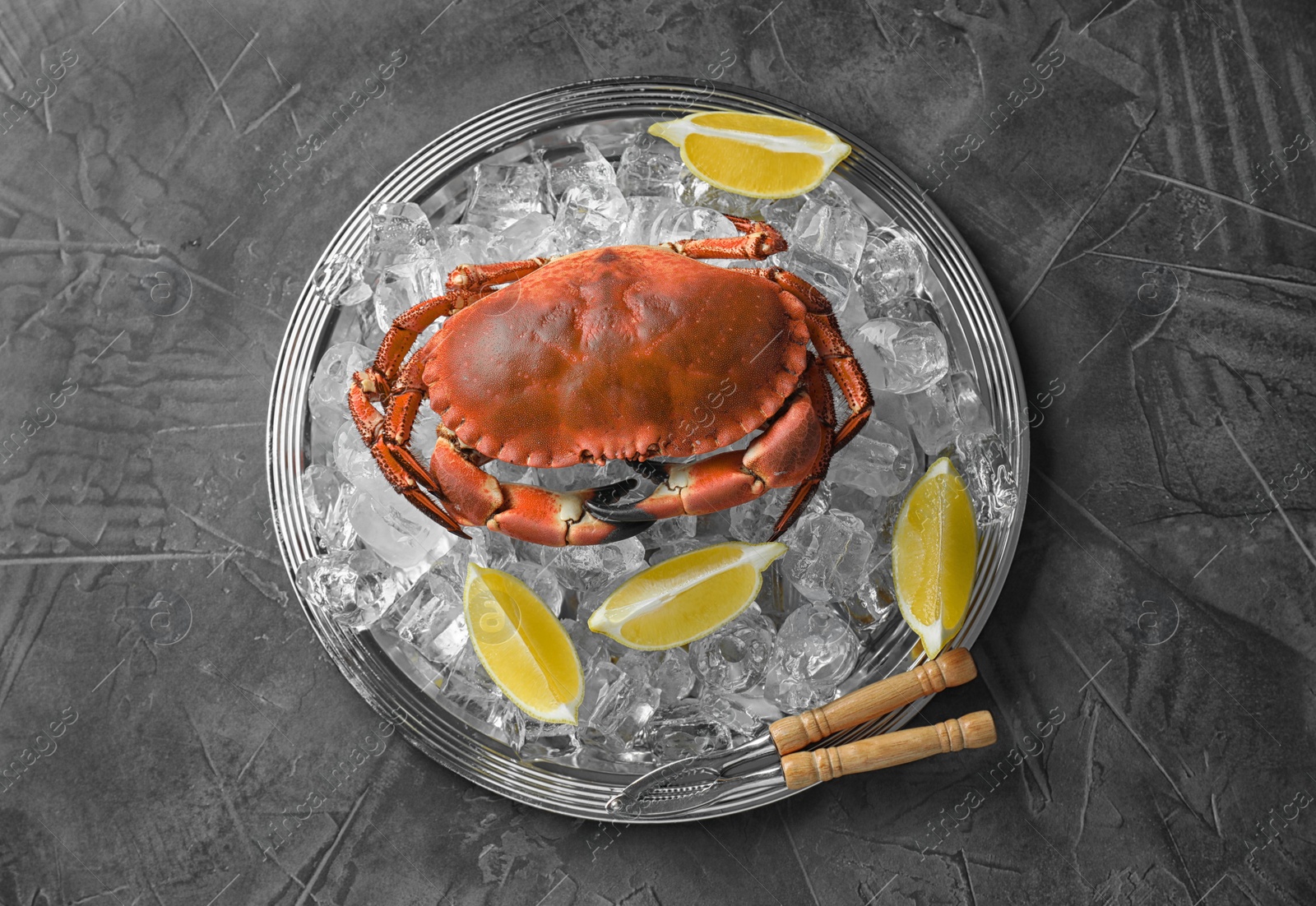 Photo of Delicious boiled crab with ice cubes, slices of lemon and cracker on grey table, top view