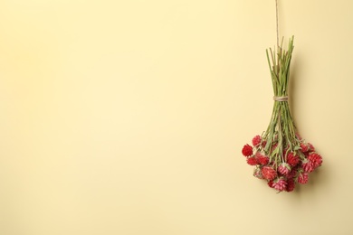 Photo of Bunch of beautiful dried flowers on beige background. Space for text