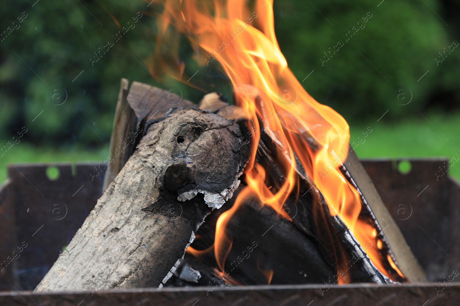 Photo of Metal brazier with burning firewood outdoors, closeup