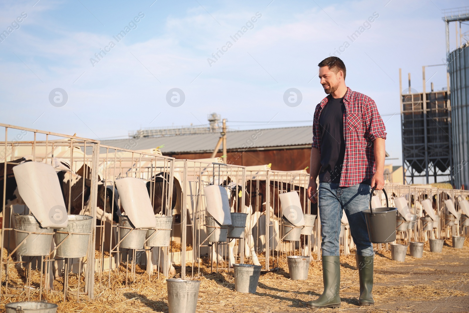 Photo of Worker with bucket and calves on farm. Animal husbandry