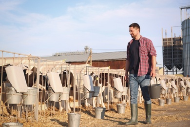 Photo of Worker with bucket and calves on farm. Animal husbandry