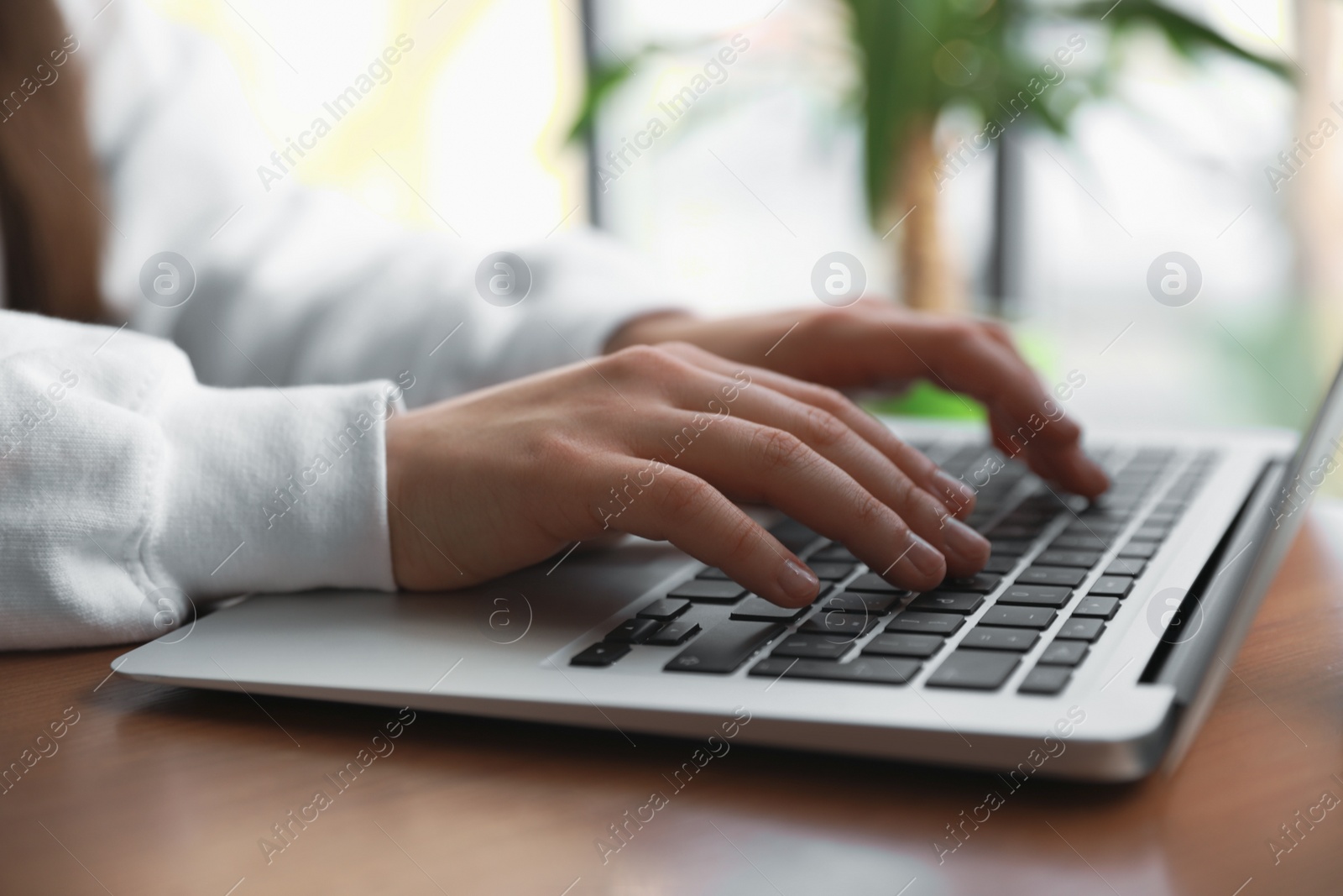 Photo of Young blogger working with laptop in cafe, closeup