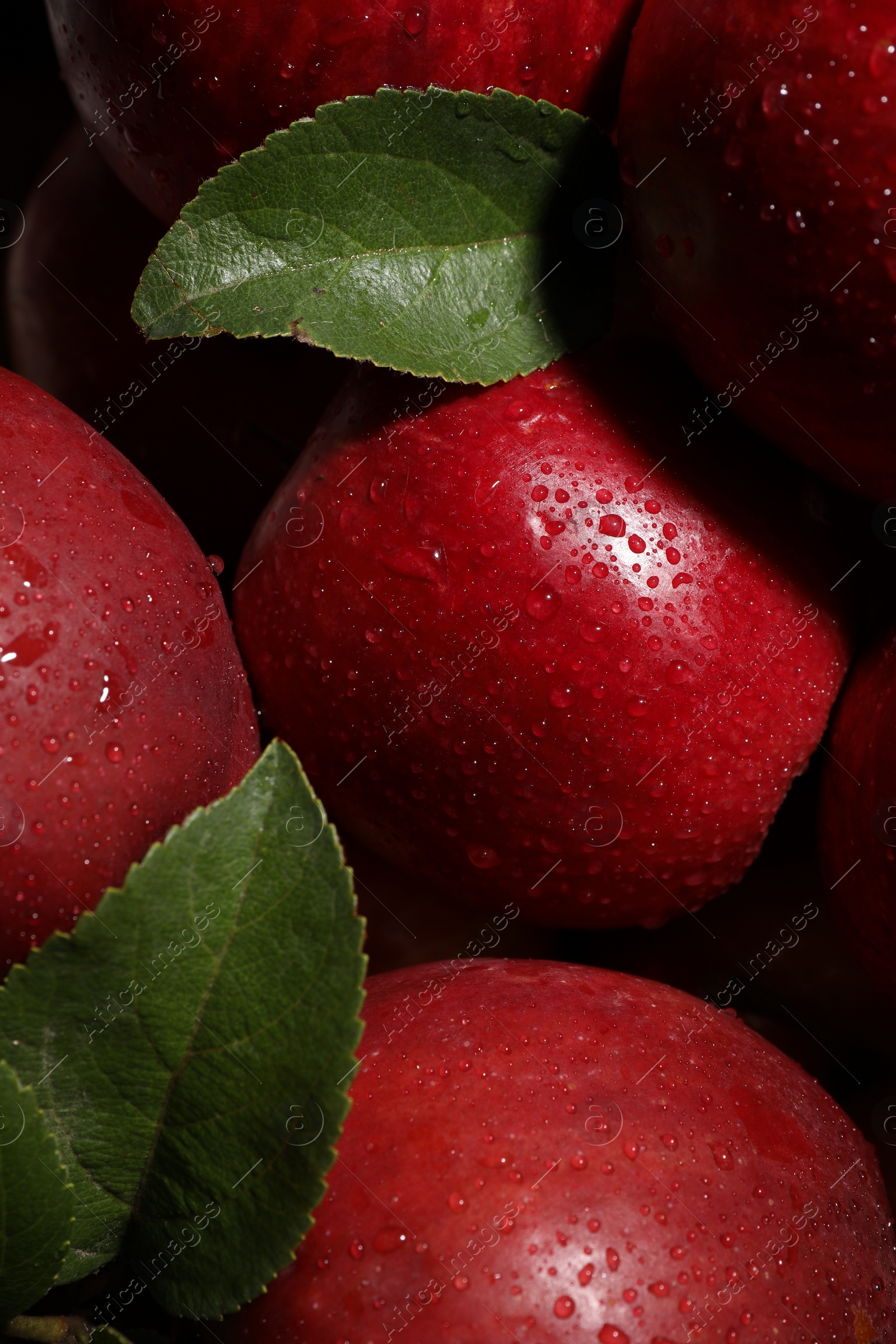 Photo of Fresh red apples with leaves and water drops as background, closeup