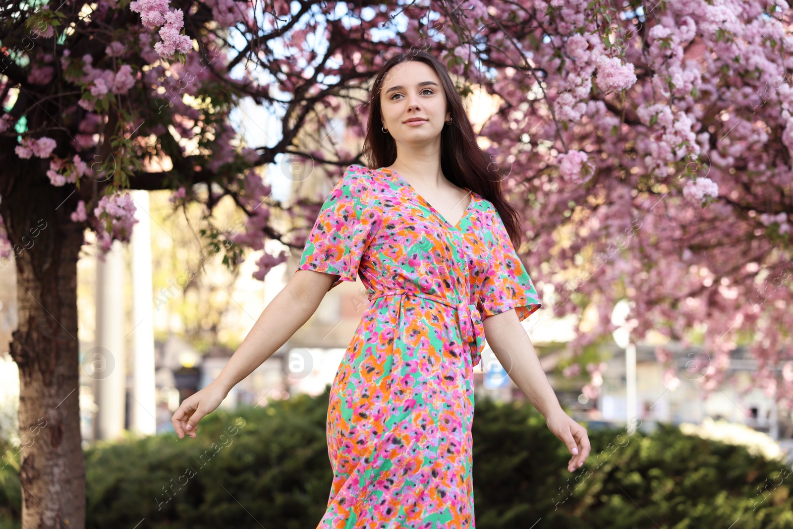 Photo of Beautiful woman near blossoming tree on spring day