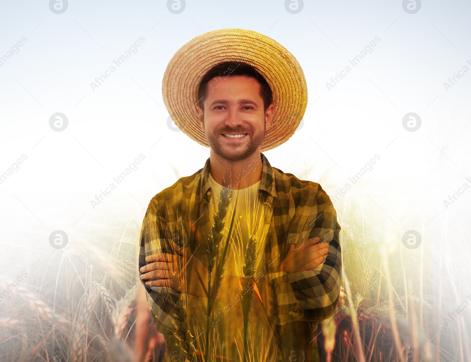 Image of Double exposure of farmer and wheat field on white background