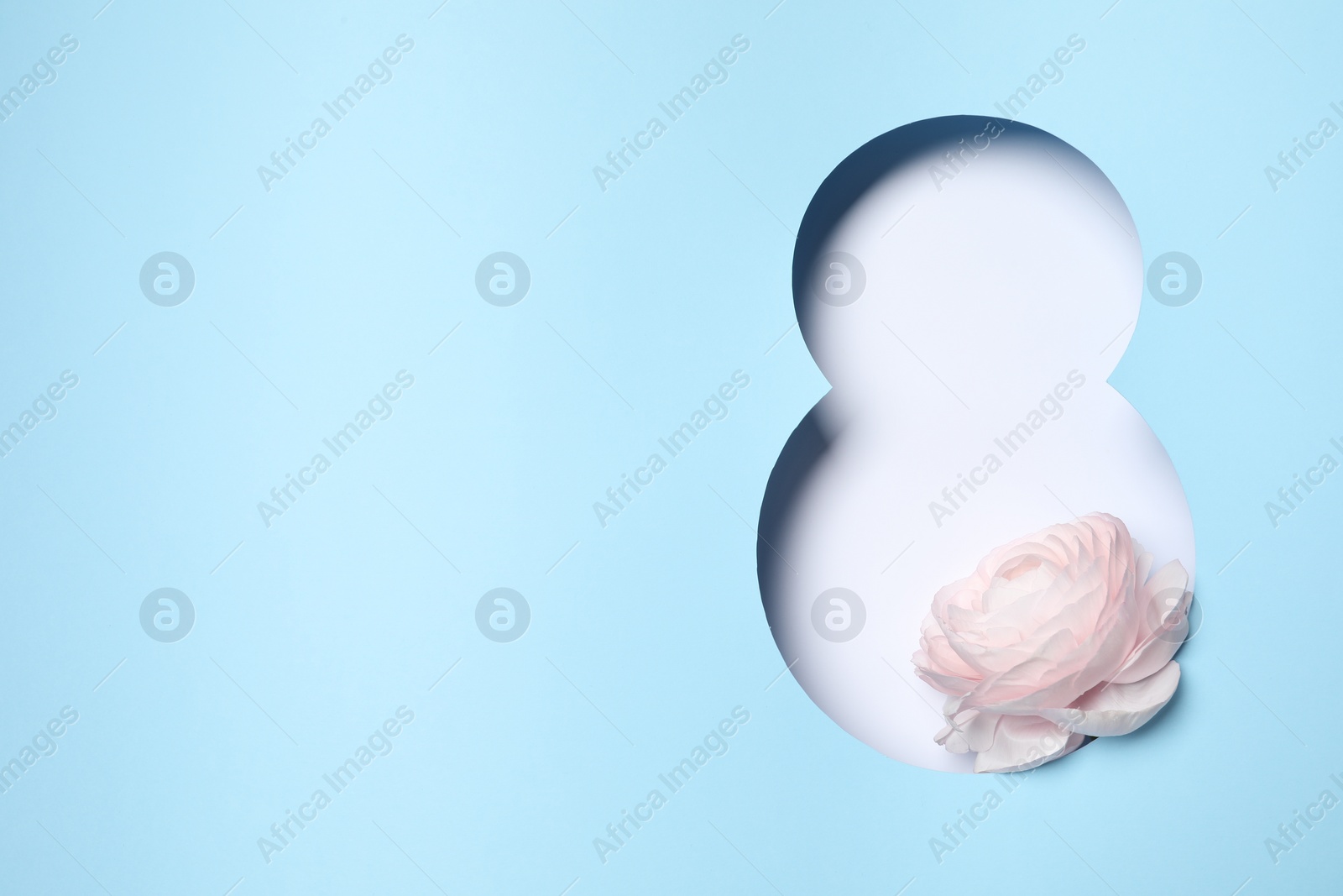 Photo of 8 March greeting card design with ranunculus flower and space for text, top view. Happy International Women's Day