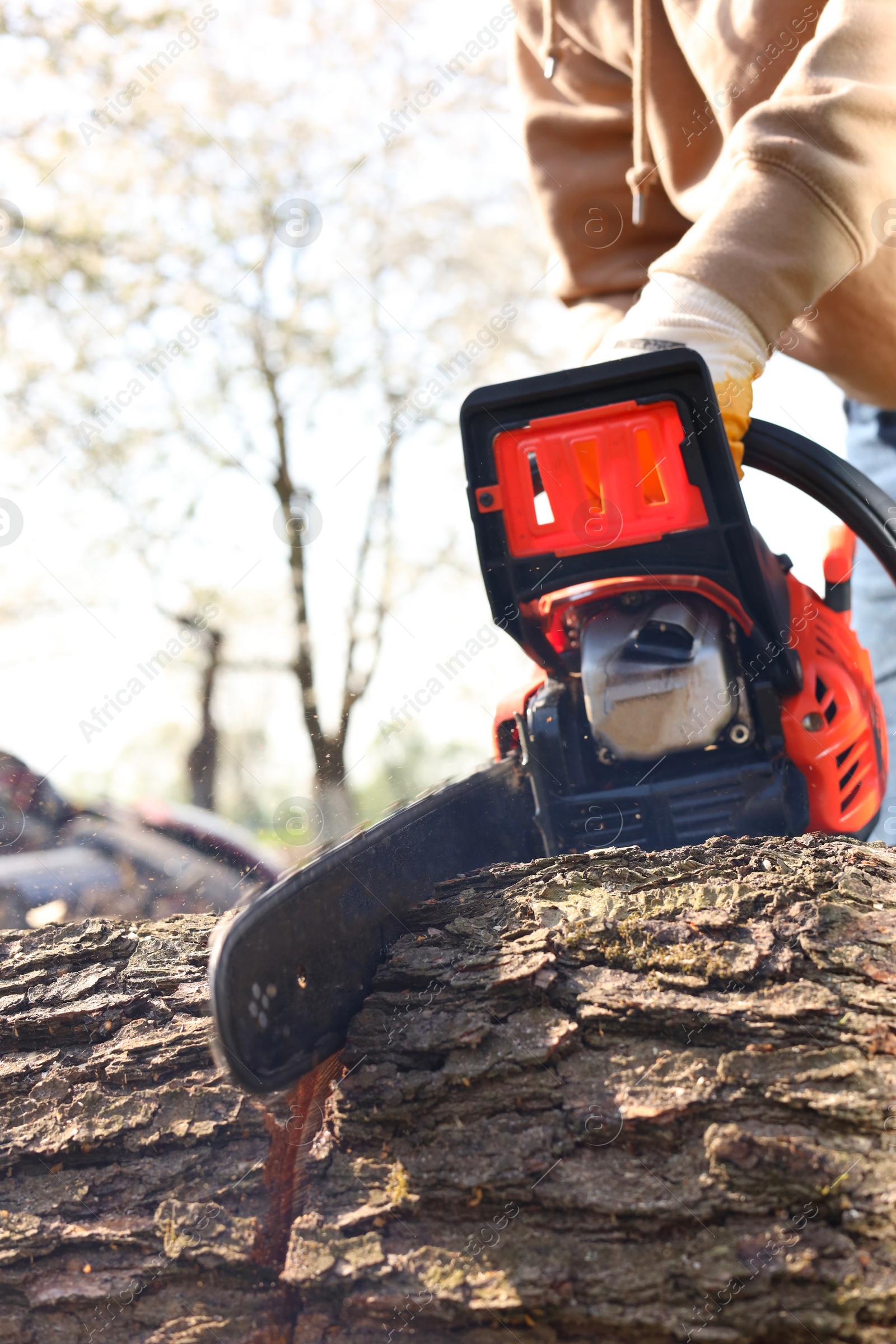 Photo of Man sawing wooden log on sunny day, closeup