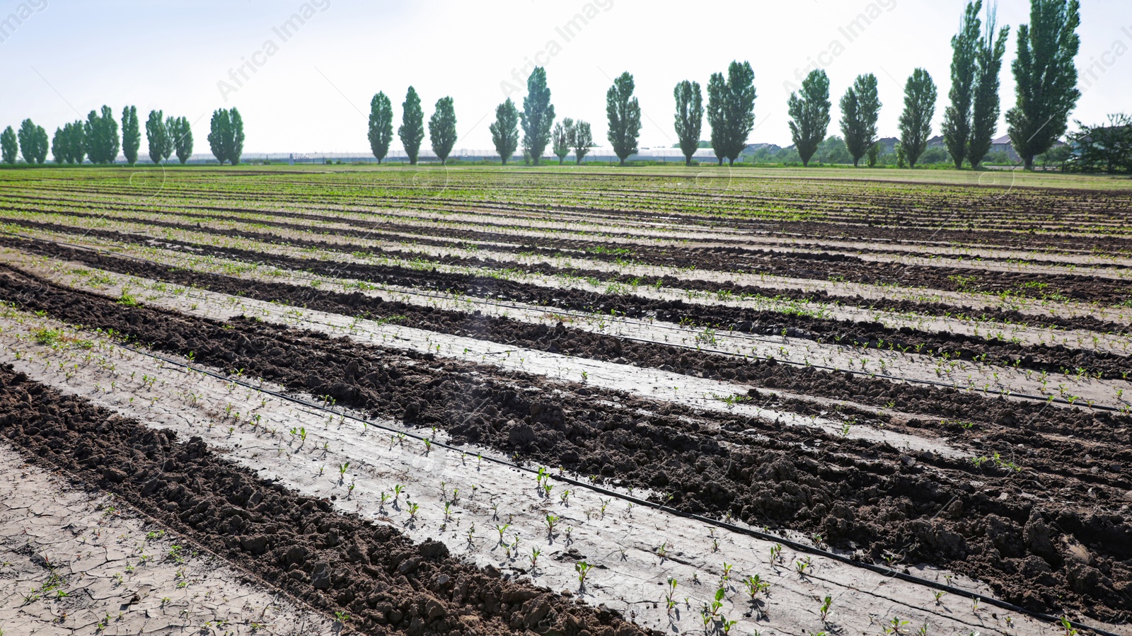 Photo of Beautiful landscape with ploughed field on sunny day