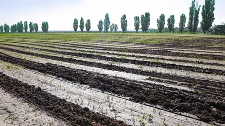 Photo of Beautiful landscape with ploughed field on sunny day