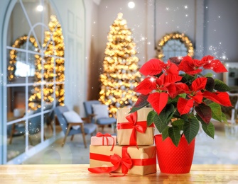 Image of Christmas traditional poinsettia flower and gift boxes on table in decorated room, space for text