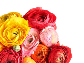 Photo of Beautiful fresh ranunculus flowers on white background, closeup