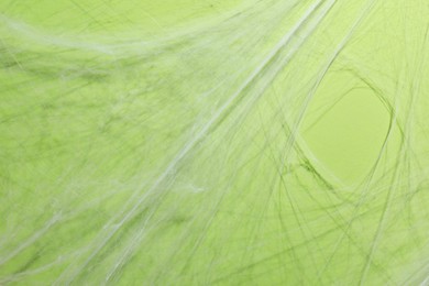 Photo of Creepy white cobweb hanging on green background