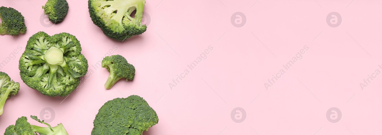 Image of Flat lay composition with fresh green broccoli on pink background, space for text. Banner design 