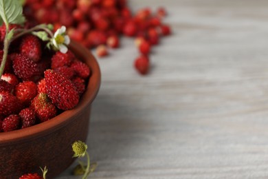 Fresh wild strawberries, flower and leaves on white wooden table, closeup. Space for text