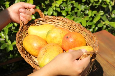 Woman holding wicker basket with tasty mangoes outdoors, closeup