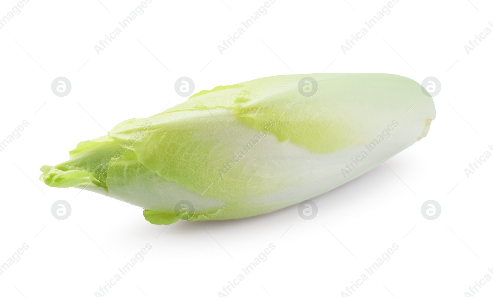 Photo of One raw ripe chicory isolated on white